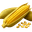Maiz icon